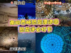 -中国西峡恐龙遗迹园