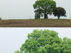 -良渚古城遗址公园