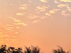 -车头老二大排档