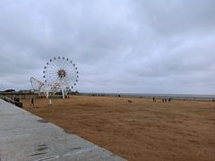 -碧海金沙