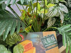 -稻香村(文殊院旗舰店)