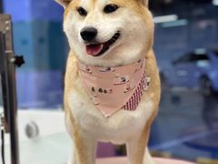 -FAELING PETS美天灵宠物(富力广场店)