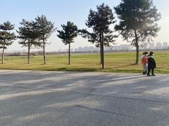 -汉长安城未央宫国家考古遗址公园