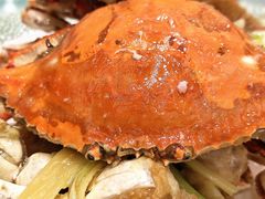 -北塘海鲜·天津菜(大光明桥旗舰店)