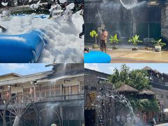 -呀路古热带植物园