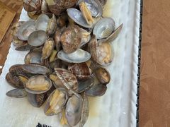 -渔码头食府(蓬莱阁店)