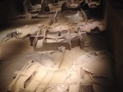 -洛阳周王城天子驾六博物馆