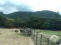-西安秦岭野生动物园