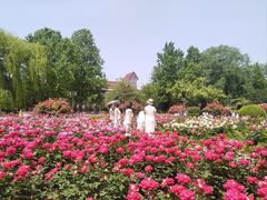 -睦南公园