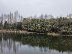 -东平国家森林公园