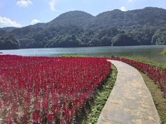 -广州市石门国家森林公园