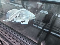 -长春农博园