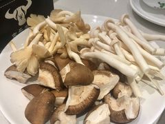 -古乐牛香·鲜牛肉牛杂火锅(新区店)