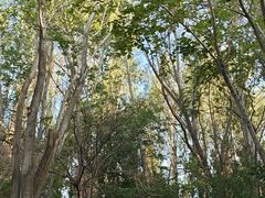 -哈密回王府景区