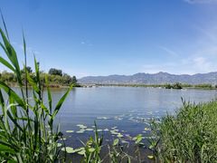 -野鸭湖国家湿地公园