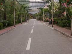 -渭南桃花源民俗文化园