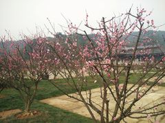 -苏州吴中太湖旅游区