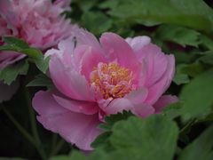 -陕西师范大学(雁塔校区)