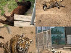 -西霞口神雕山野生动物世界