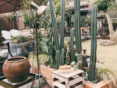 -悦哉·派对·草坪婚礼·围炉煮茶(三圣乡店)
