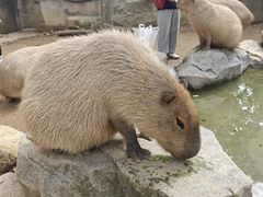 -宁波野生动物园