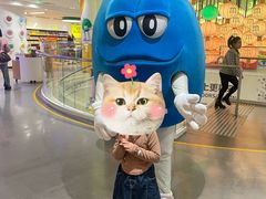 -m豆巧克力世界(上海世茂广场店)