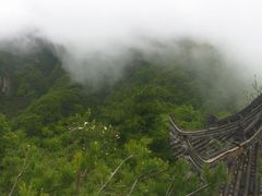 -王顺山国家森林公园