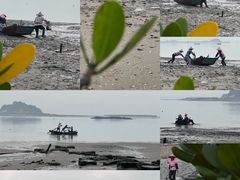 -海沧湾公园