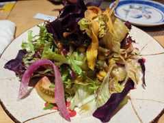 -琴寿司居酒屋(软件园店)