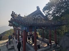 -北京鹫峰国家森林公园