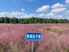 -嘉北郊野公园