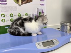 -艾贝尔宠物医院 ·中兽医·宠保定点(北门桥店)