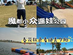 -春花秋色城市公园