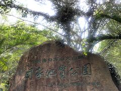 -海口火山口国家地质公园