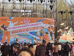 -桃花堤公园