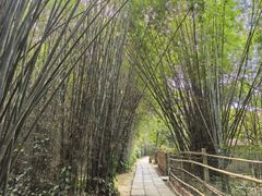 -开平碉楼文化旅游区马降龙景区