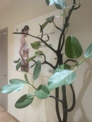 -美丽妈妈产后恢复中心(南桥旗舰店)