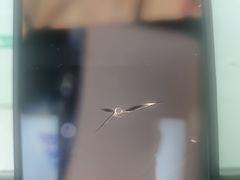 -福耀汽车玻璃(浦东店)