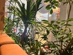 -gaga(深圳福田星河COCO Park店)