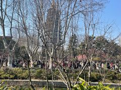 -红梅公园
