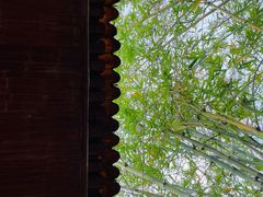 -宝墨园景区