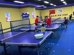 -乐旋乒乓球(深圳南油店)