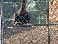 -平湖九龙山旅游度假区