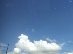 -美家乐农庄·露营·团建(大治路店)