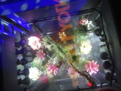 -贰麻酒馆(金山斗酒场店)