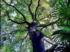 -敬亭山风景名胜区