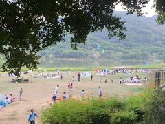 -风云岭森林公园
