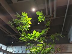 -农畉LONFOOD(万象天地店)