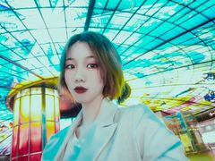 -捷运美丽岛站(The Dome of Light)