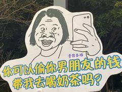 -凤城·食都